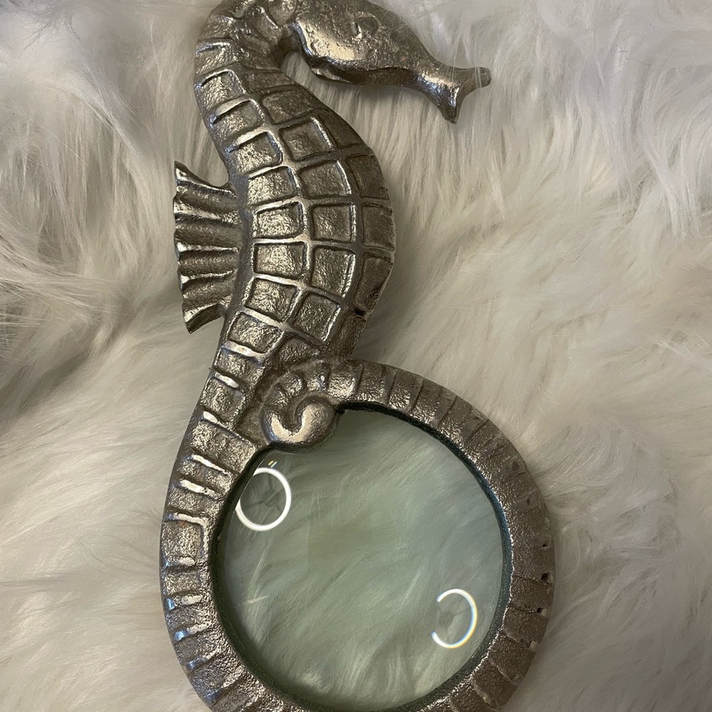 Silver Seahorse Magnifying Glass